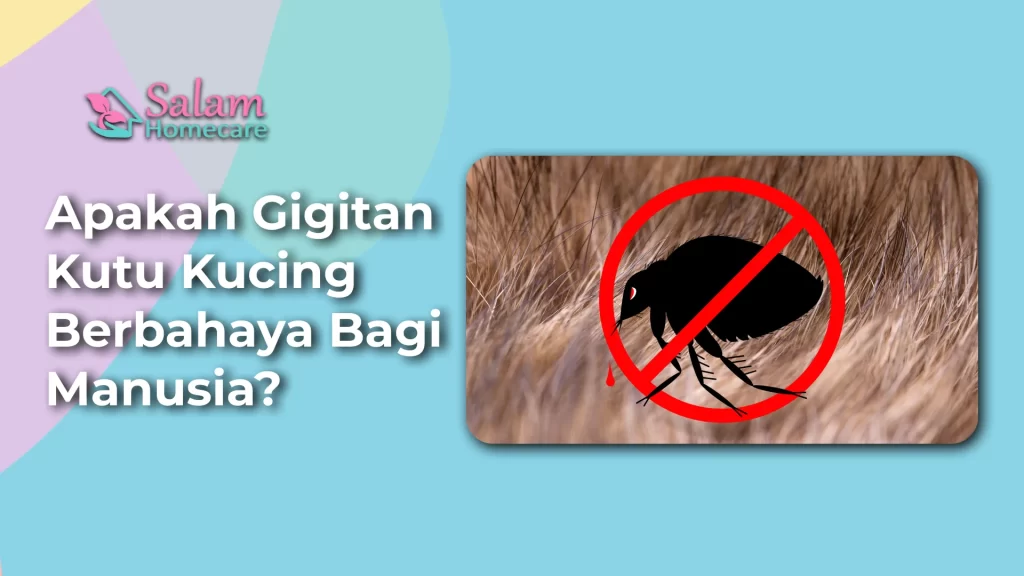 Apakah Gigitan Kutu Kucing Berbahaya Bagi Manusia?